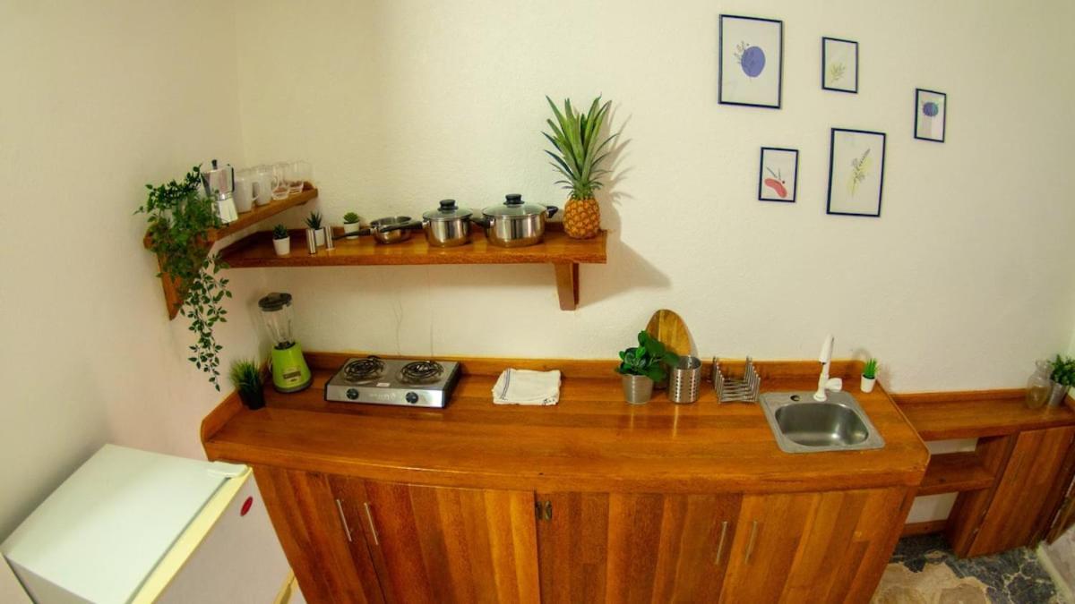 El Jardin Del Coco, Apartamento 14 - Near La Playita Beach Las Galeras Ngoại thất bức ảnh