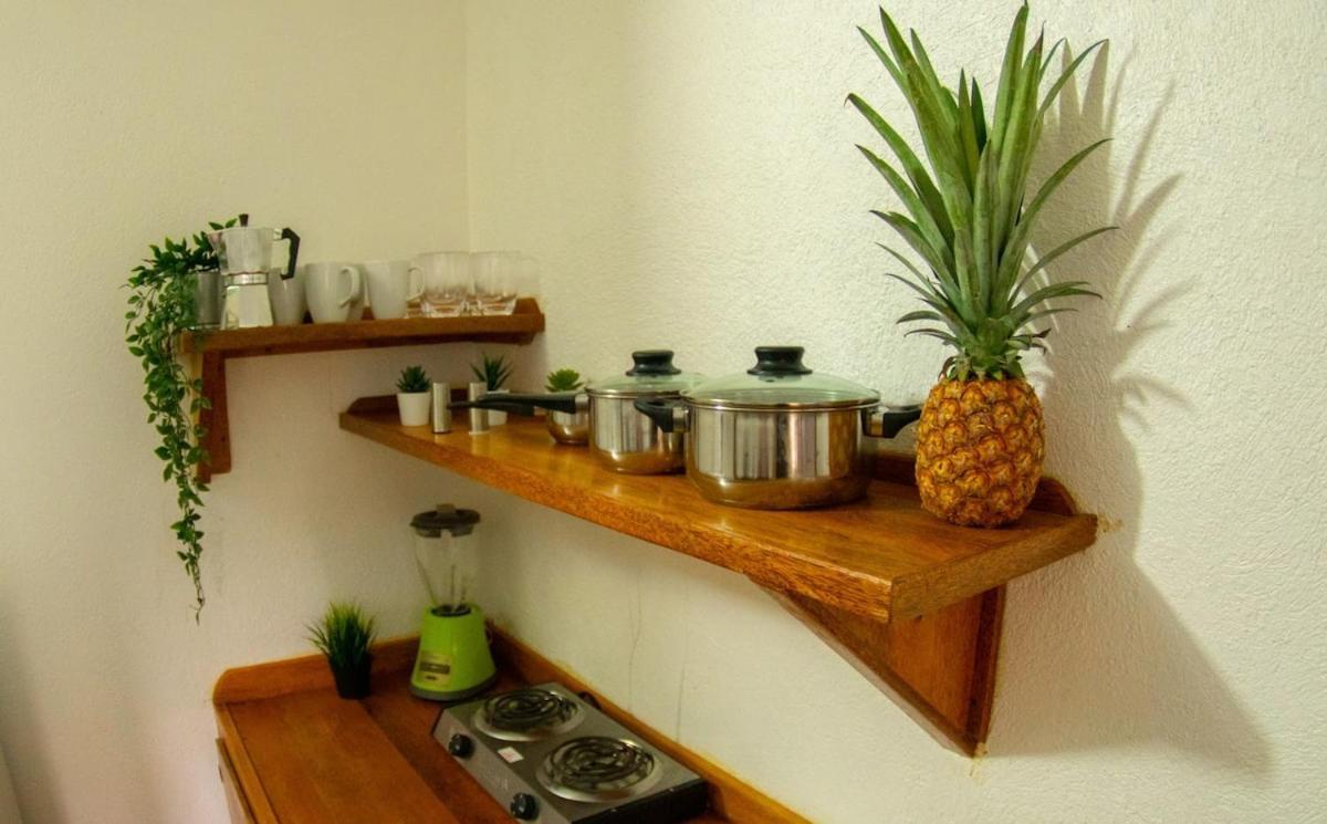 El Jardin Del Coco, Apartamento 14 - Near La Playita Beach Las Galeras Ngoại thất bức ảnh